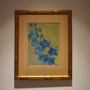 Orchids